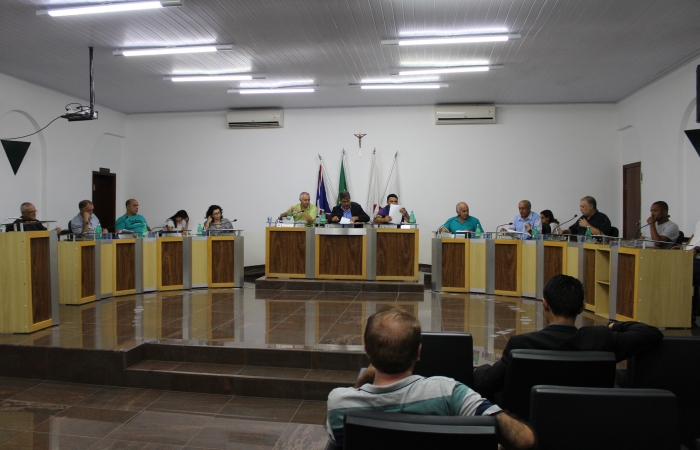 Vereadores de Alfenas pedem por melhorias nas vias públicas e limpeza da cidade
