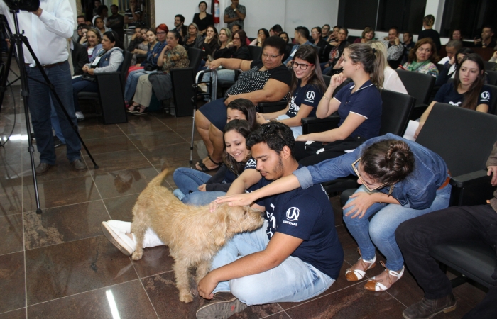 Plenário cheio: Audiência Pública busca soluções para animais abandonados