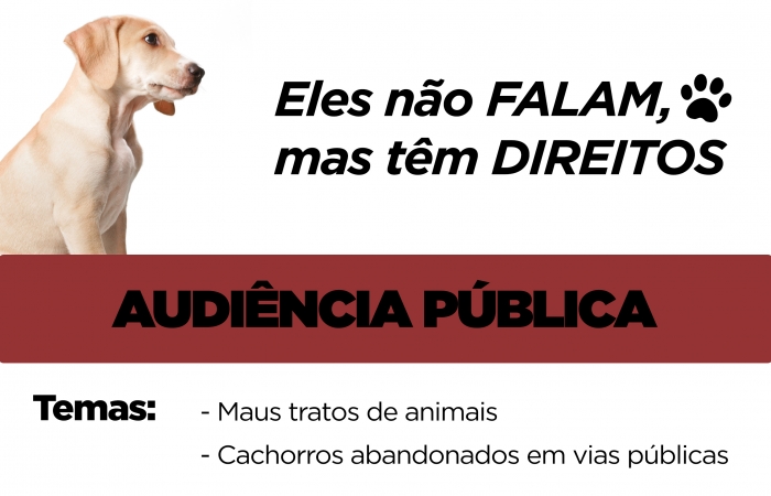 Audiência Pública irá discutir situação de cães abandonados nas ruas da cidade
