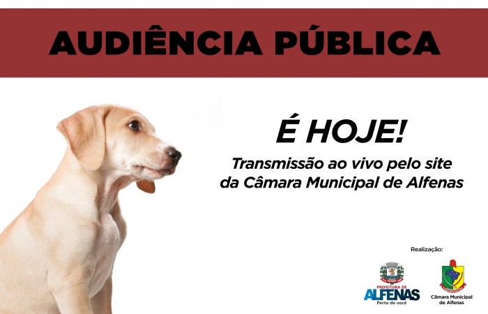 É hoje: Participe da Audiência Pública sobre maus tratos e abandono de animais em vias públicas